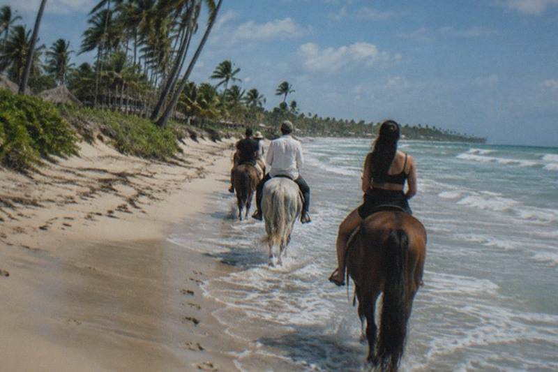 Beach Horseback Ride, 3 Hours
