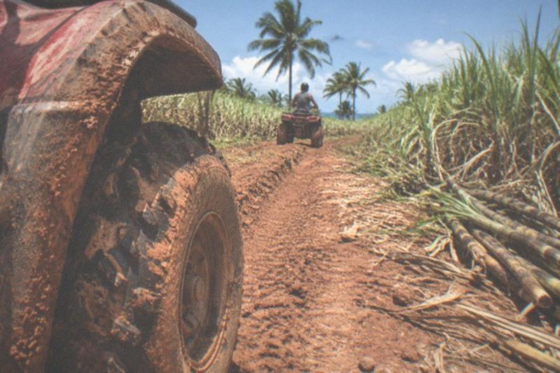 Adventure Without Limits, Buggy And ATV