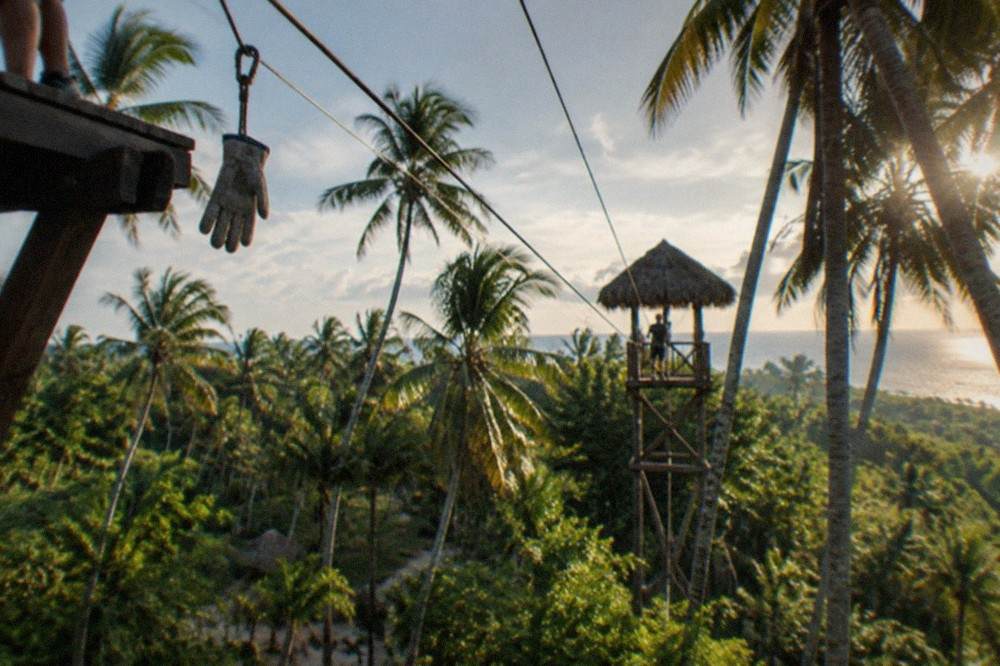 Zipline cables stretched between platforms above a green palm forest canopy