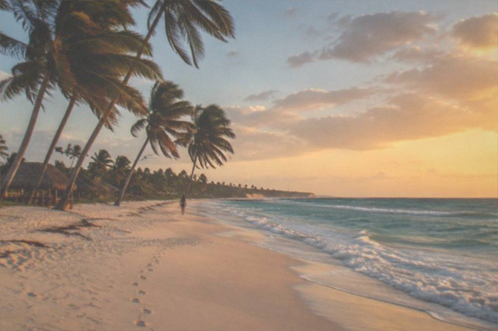 Empty white sand beach with leaning palms and gentle turquoise waves at Macao