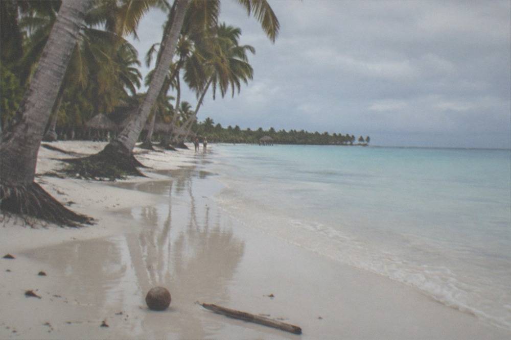 Palm trees leaning over a wide white sand beach with calm shallow water at Saona Island