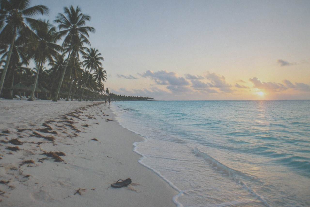 Open beach in Punta Cana with calm turquoise water and a line of palm trees along the shore