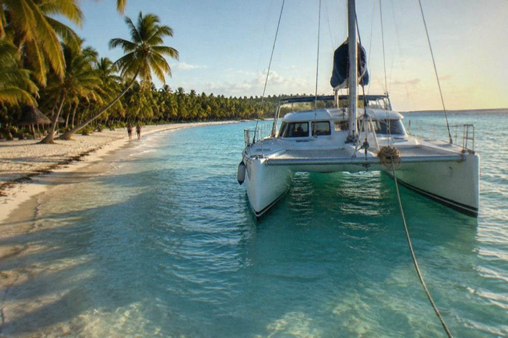 A anchored catamaran in clear shallow water near a palm-lined island beach