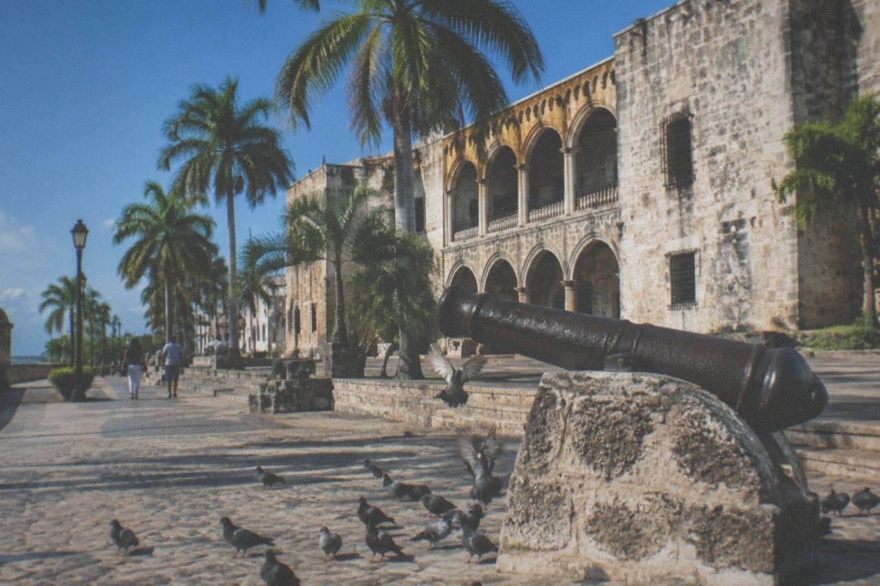Colonial stone buildings and a palm-lined street under a blue sky in Santo Domingo