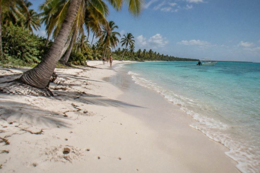 Wide white sand beach curving into clear turquoise water with coconut palms leaning over the shoreline