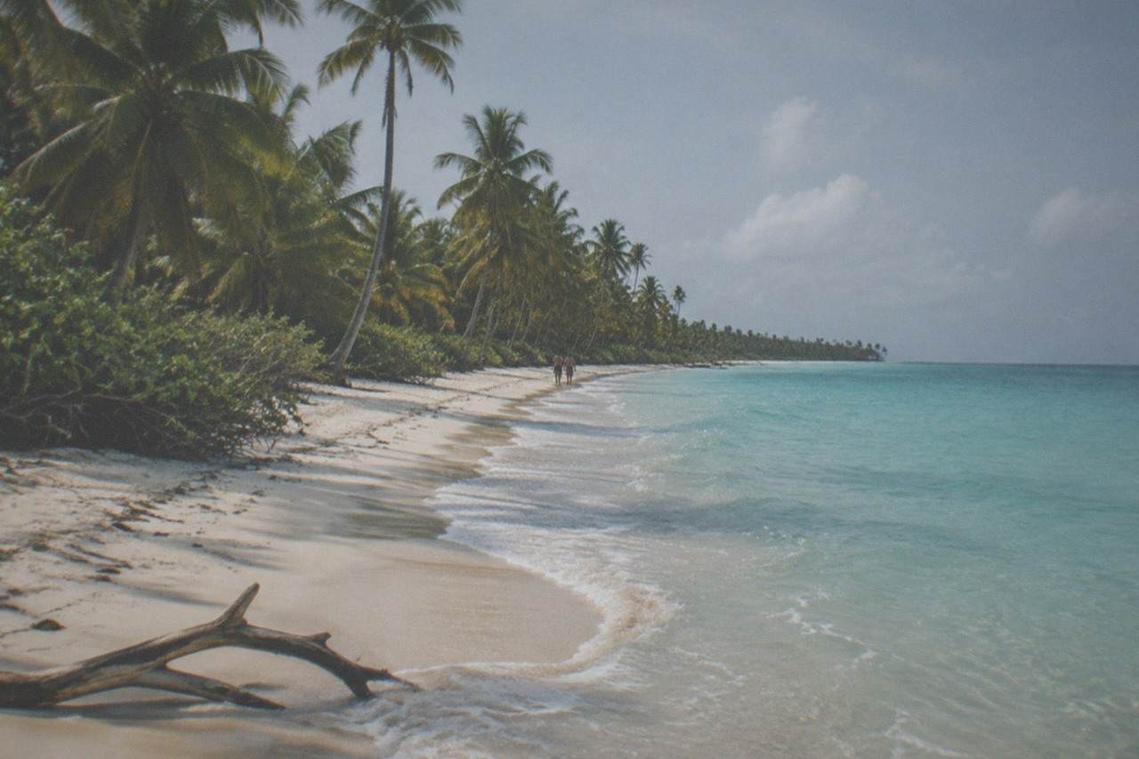 Turquoise shallow water and palm trees along a wide empty beach on Saona Island