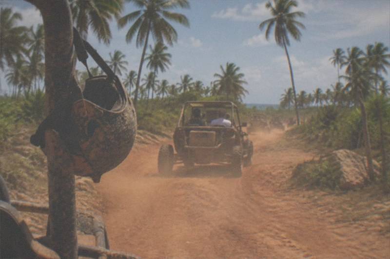A pair of open buggies follows a red-dirt track between palm fields inland from the coast, dust trailing behind the wheels.