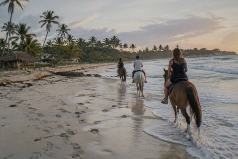 Horses walk single file along firm wet sand at the waterline, riders looking out over gentle waves on a bright Punta Cana morning.