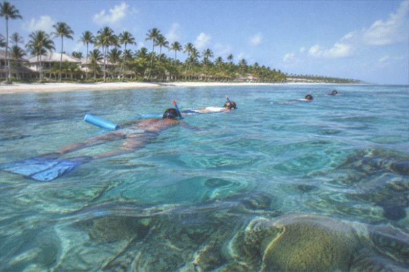 Snorkelers drift over a shallow coral reef in clear water off Punta Cana, colorful fish scattering around them beneath the surface.