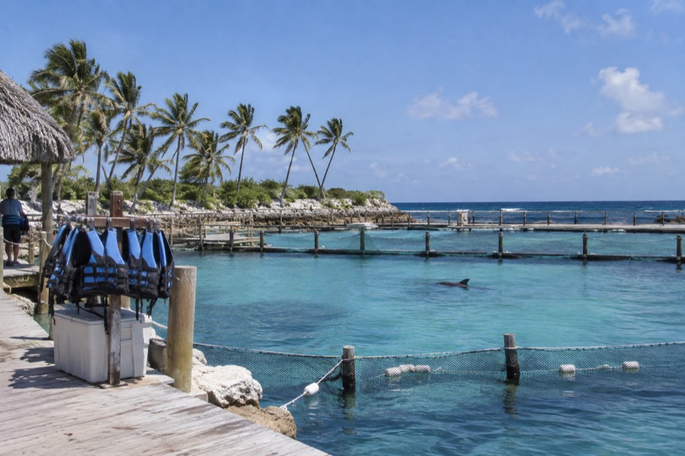 Fenced ocean-water dolphin lagoon with floating platforms near Bávaro