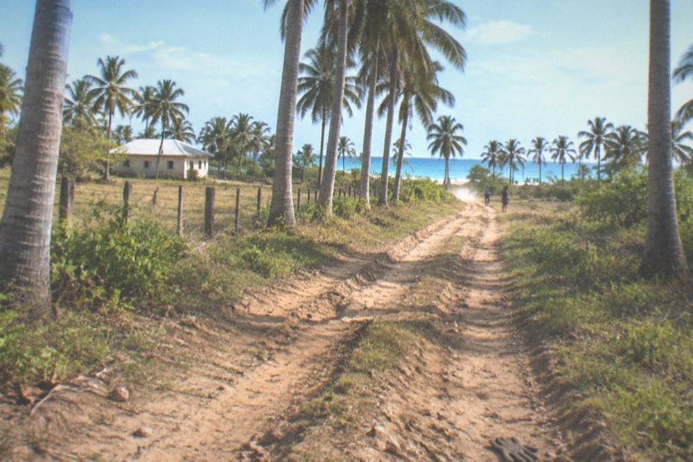 Dirt trail through tropical countryside leading towards a palm-fringed beach
