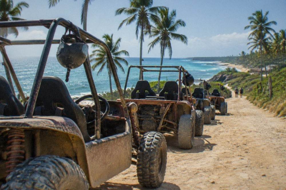 Line of open two-seat buggies parked on a dirt road beside tall palm trees