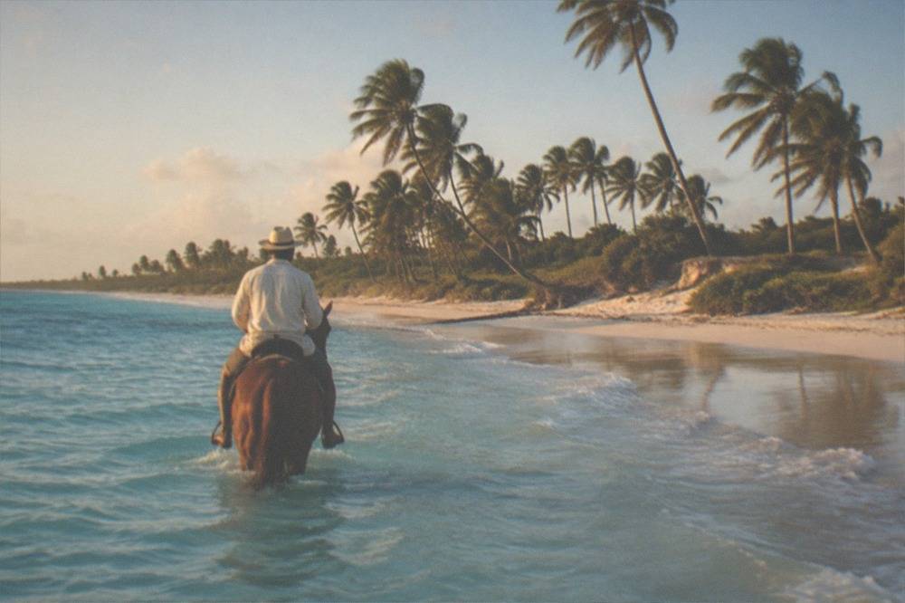 Horse and rider standing in shallow turquoise water on an empty beach