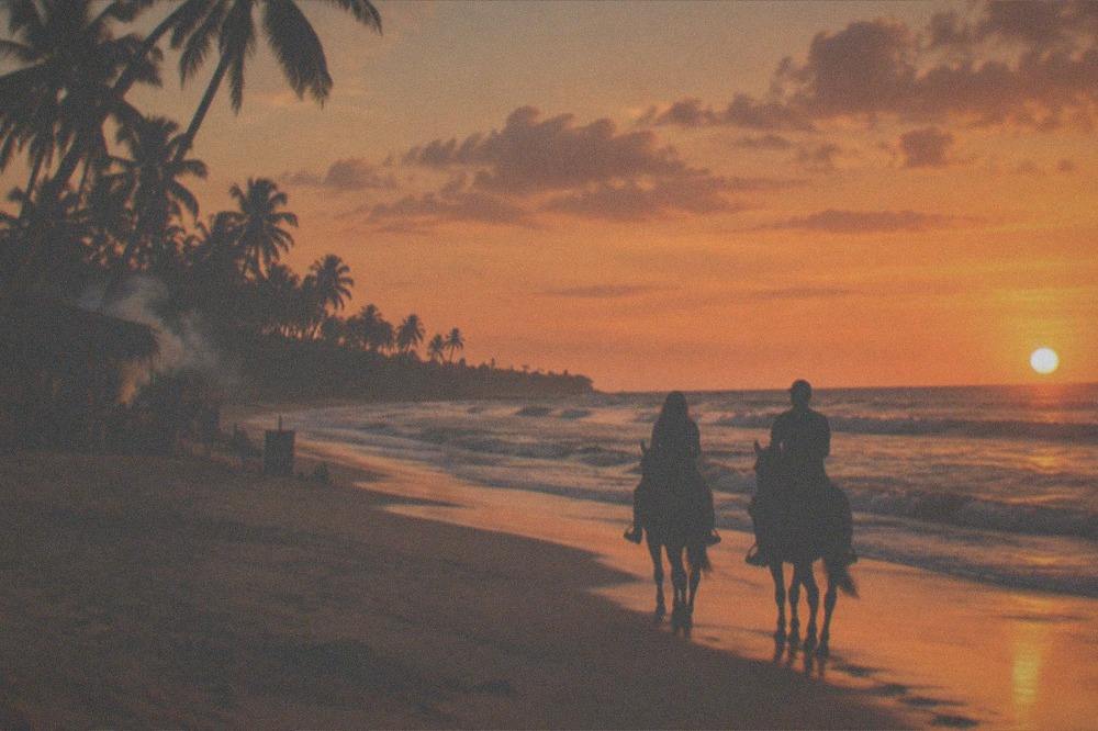 Horses and riders silhouetted against an orange sunset over the sea at a beach