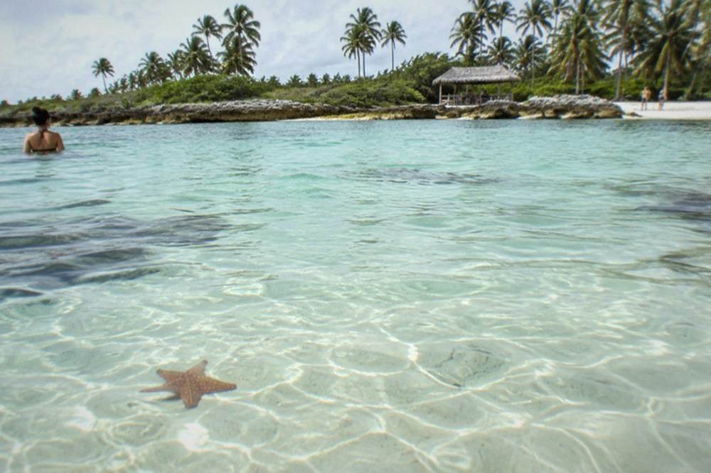 Clear shallow water over a sandy bottom with a starfish resting on the sand