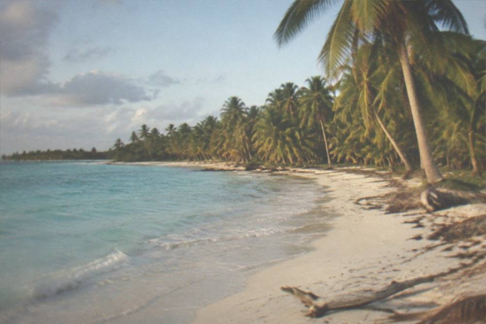 A wide palm-fringed white sand beach with calm turquoise water and no people