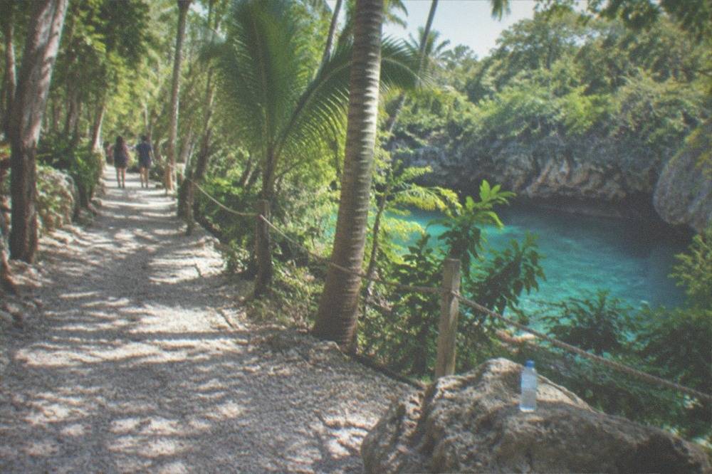 Tropical walking trail through palm forest inside an eco-adventure park