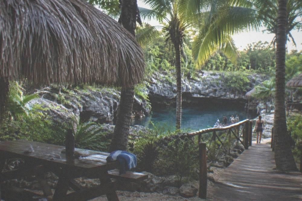 Palm trees and shaded picnic area beside a wooden park walkway